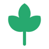 Advantage Icon